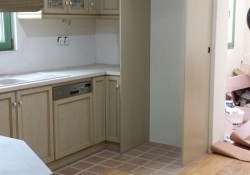 ΚΟΥΖΙΝΑ ΔΡΥΣ ΗΜΙΜΑΣΙΦ