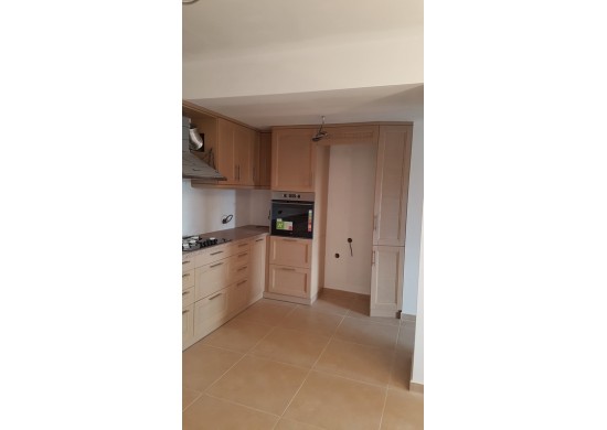 ΚΟΥΖΙΝΑ ΔΡΥΣ ΗΜΙΜΑΣΙΦ