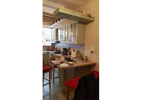 ΚΟΥΖΙΝΑ ΔΡΥΣ ΜΑΣΙΦ