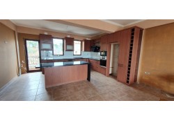 ΚΟΥΖΙΝΑ MDF ΚΑΠΛΑΜΑ ΔΡΥΣ