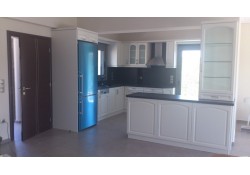 ΚΟΥΖΙΝΑ ΔΡΥΣ ΗΜΙΜΑΣΙΦ