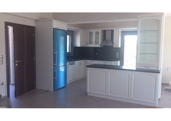 ΚΟΥΖΙΝΑ ΔΡΥΣ ΗΜΙΜΑΣΙΦ