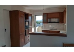 ΚΟΥΖΙΝΑ ΔΡΥΣ ΗΜΙΜΑΣΙΦ