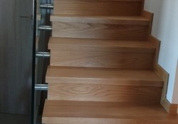 ΕΠΕΝΔΥΣΗ ΣΚΑΛΑΣ ΔΡΥΣ ΜΑΣΙΦ