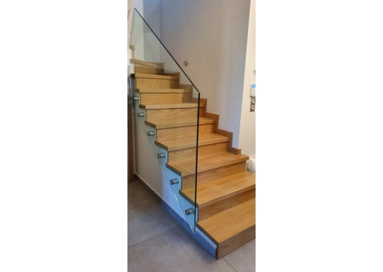 ΕΠΕΝΔΥΣΗ ΣΚΑΛΑΣ ΔΡΥΣ ΜΑΣΙΦ